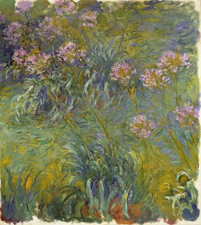 Agapantos, 1914-26 de Claude Monet